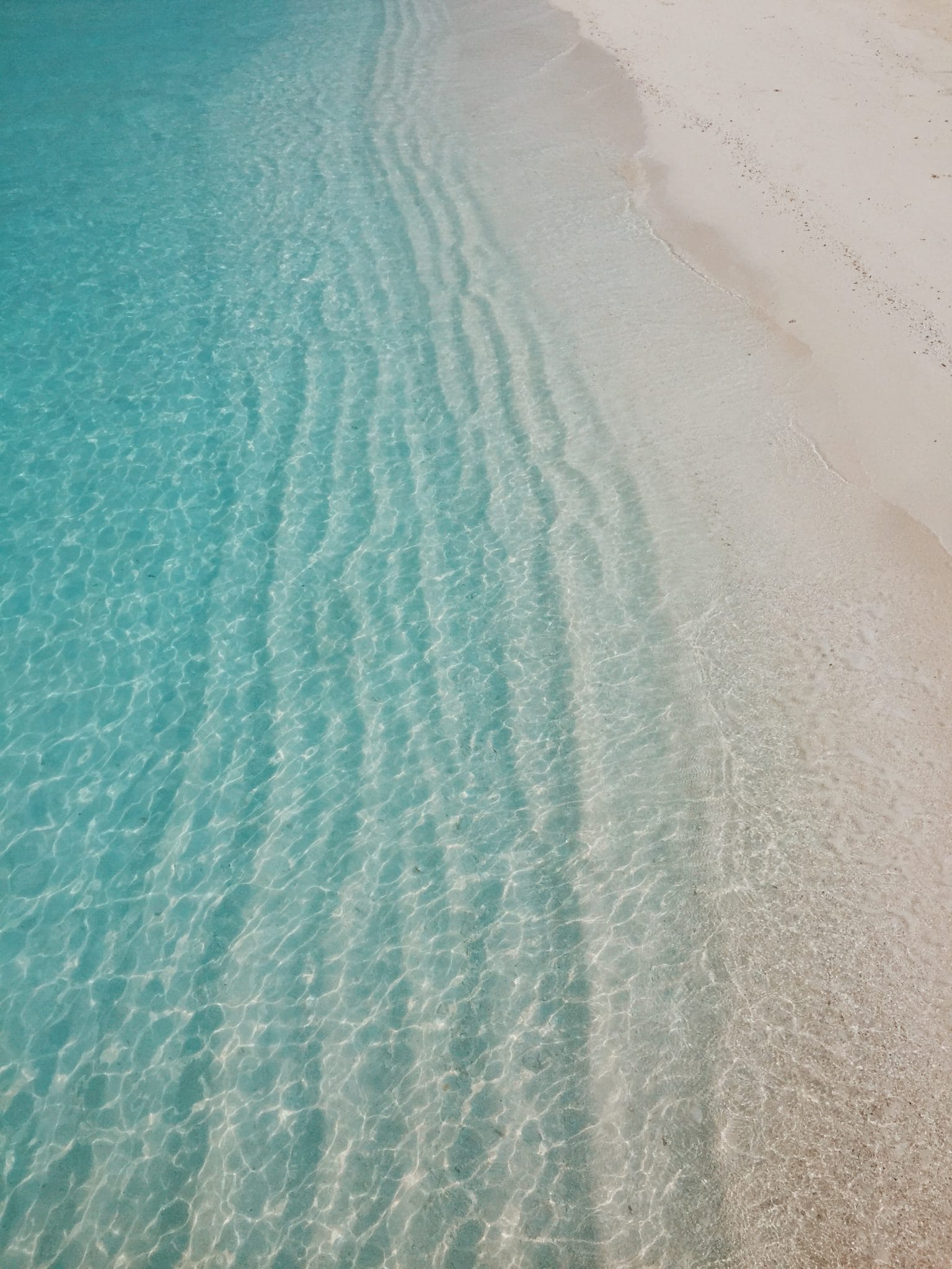 ibrahim-rifath-NJ7CaVfWYaw-unsplash