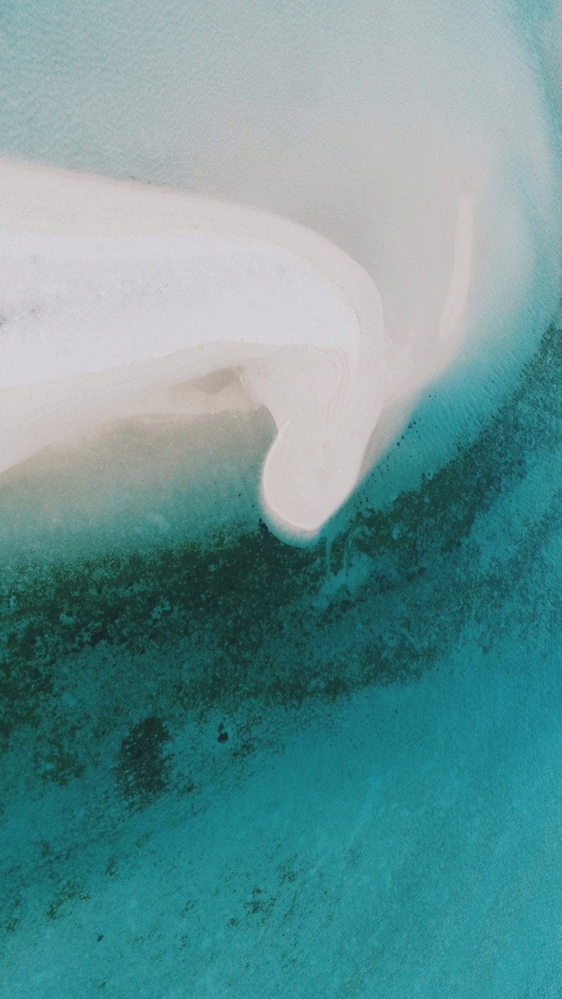 syd-sujuaan-2OowobmZRFE-unsplash